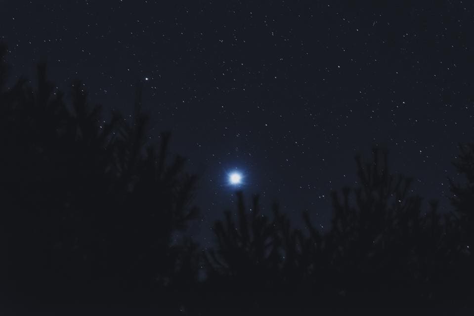 A Importância da Constelação do Cão Maior na Astronomia