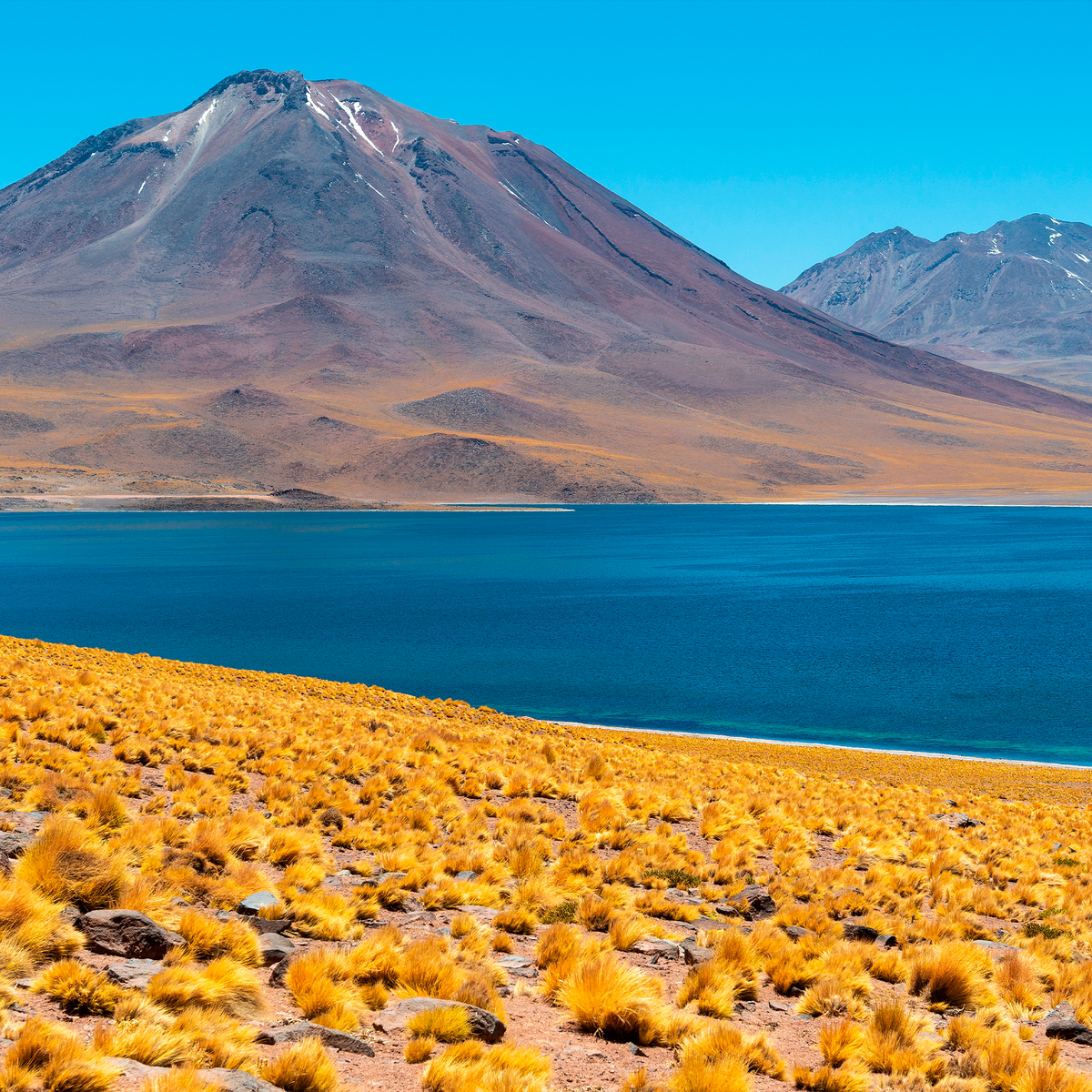 A Ciência por Trás dos Desertos: Entendendo a Precipitação e a Aridez