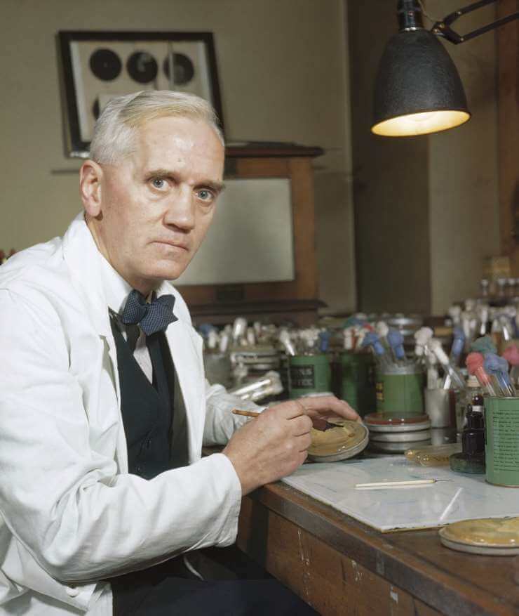 5 ideias de títulos:
1. A Descoberta Acidental da Penicilina: Uma Revolução na Medicina
2. Alexander Fleming: O Homem Por Trás do Primeiro Antibiótico Moderno
3. Do Laboratório à Guerra: A Jornada da Penicilina
4. O Impacto da Penicilina na Saúde Global
5. Como um Fungo Mudou o Curso da Medicina: A História da Penicilina
