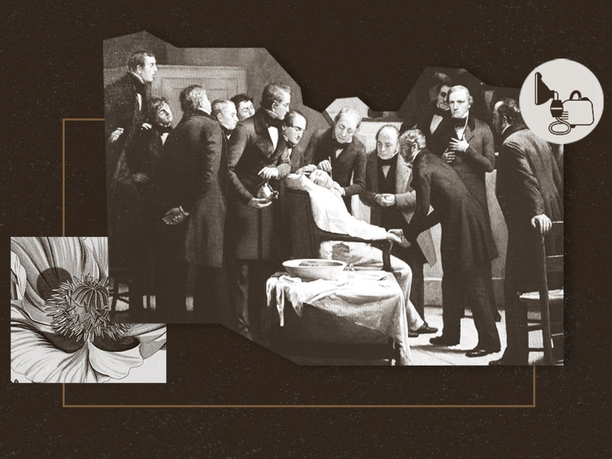 5 ideias de títulos:
1. A Evolução da Anestesia: De Antigos Métodos ao Éter Sulfúrico.
2. Pioneiros da Anestesia: Quem Foram os Verdadeiros Descobridores?
3. O Papel do Éter e do Óxido Nitroso na História da Anestesiologia.
4. Anestesia no Japão Antigo: A Técnica de Seishu Hanaoka.
5. Os Riscos e Sucessos das Primeiras Demonstrações de Anestesia.