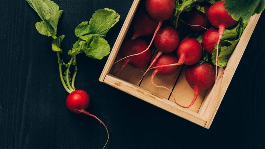 5 ideias de títulos:
1. Rabanete em Casa: Guia Completo para Iniciantes
2. Do Plantio à Colheita: Tudo Sobre o Rabanete
3. Erros Comuns no Cultivo de Rabanete e Como Evitá-los
4. Rabanete Orgânico: Dicas para um Cultivo Saudável e Saboroso
5. Plantando Rabanete em Vasos: A Solução para Pequenos Espaços