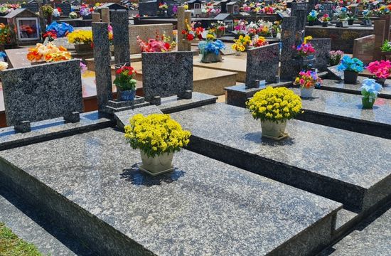 5 ideias de títulos:
1. Guia Completo: Reforma de Cemitérios e Jazigos
2. Entenda os Custos e Processos da Reforma de Túmulos
3. Revitalização de Cemitérios: O Que Você Precisa Saber
4. Manutenção de Jazigos: Direitos e Deveres Familiares
5. Como Obter Alvará para Reforma de Sepultura