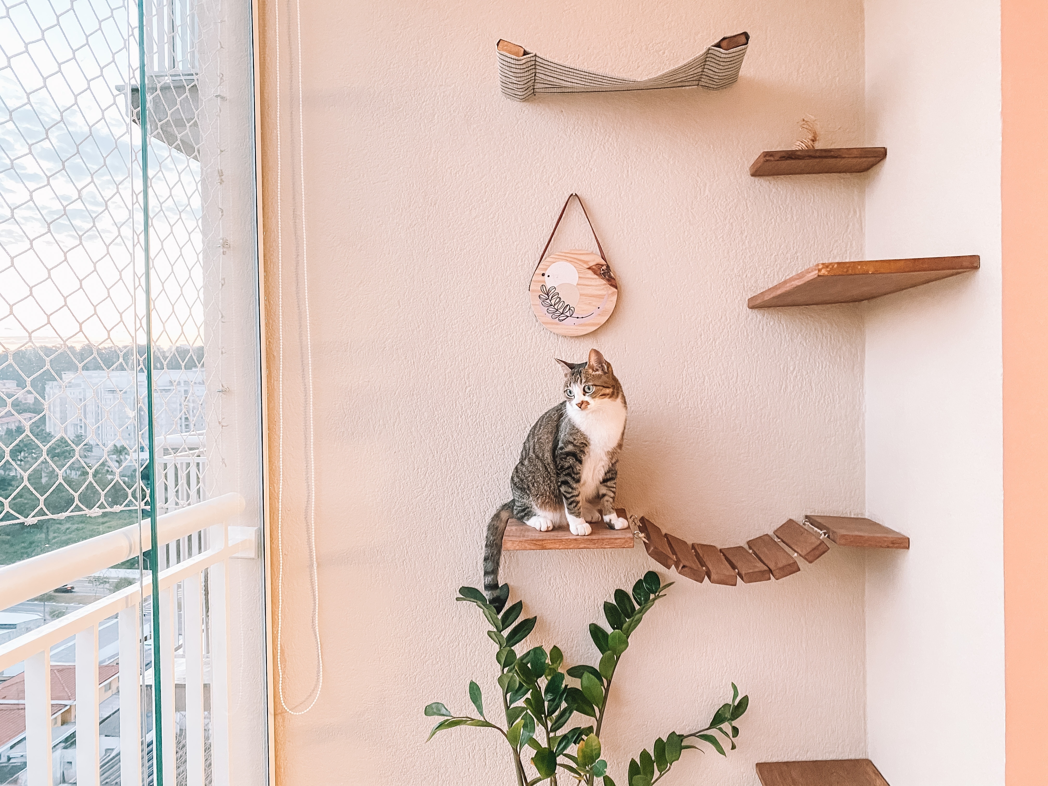 5 ideias de títulos