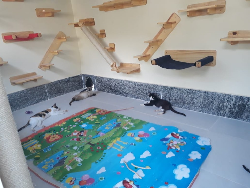 5 ideias de títulos