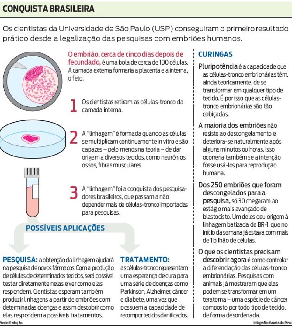 celulas tronco adultas vs embrionarias desvantagens