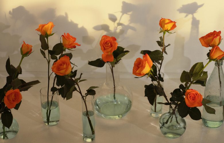 5 ideias de títulos:
1. Desvendando o Significado da Rosa Amarela com Vermelho: Um Guia Completo.
2. Rosa Amarela e Vermelha: A Combinação Perfeita de Amizade e Amor.
3. O Que Significa uma Rosa Amarela com Pontas Vermelhas?
4. Buquê de Rosas Amarelas e Vermelhas: Celebre a União e a Paixão.
5. A Linguagem Secreta das Rosas: Amarelo e Vermelho Juntos.