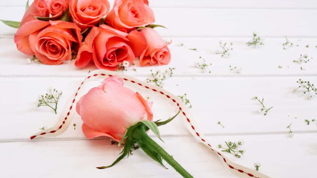 significado da rosa amarela com vermelho