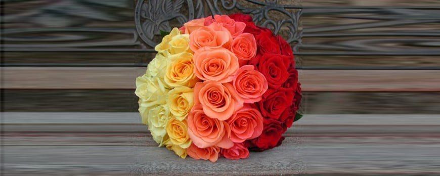 significado da rosa amarela com vermelho