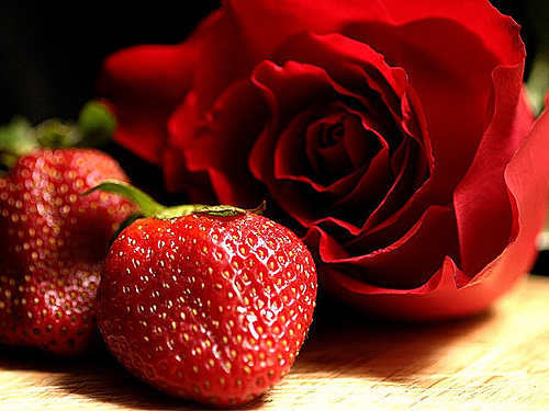 significado da rosa vermelha