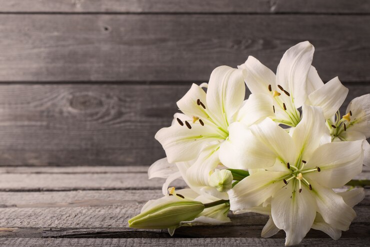 5 ideias de títulos:
1. O Poder Simbólico do Lírio Branco: Pureza