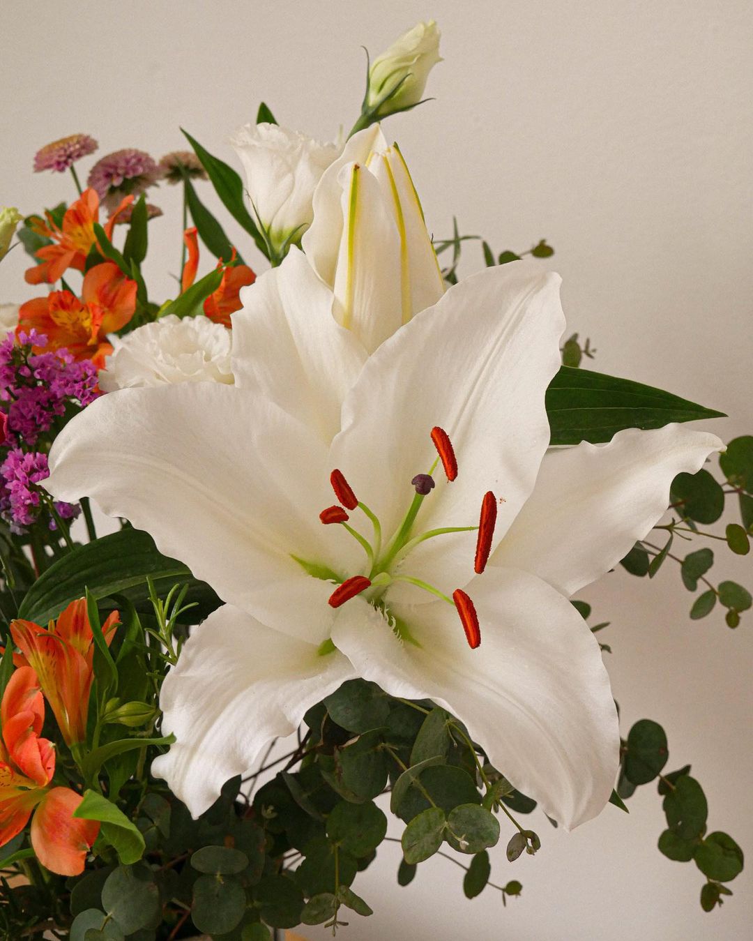 Paz e Renascimento
2. Lírio Branco: Um Guia Completo de Seus Significados e Usos
3. Desvendando o Mistério do Lírio Branco: Da Espiritualidade à Elegância
4. Lírio Branco: A Flor Que Representa Novos Começos e Amor Eterno
5. Como o Lírio Branco Transmite Pureza e Harmonia em Sua Vida