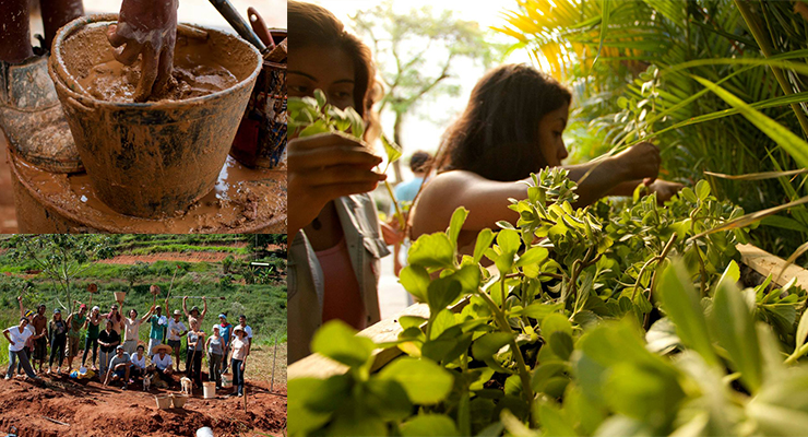 Guia Completo: Como Fazer Tintas Naturais em Casa