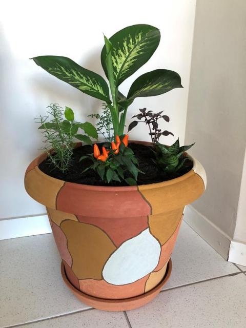 As Melhores Plantas para Criar suas Próprias Tintas Naturais