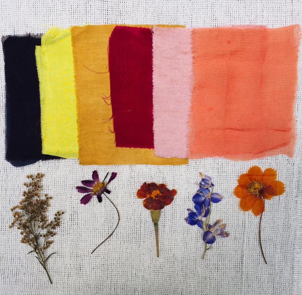 Guia Completo: Como Fazer Tintas Naturais em Casa