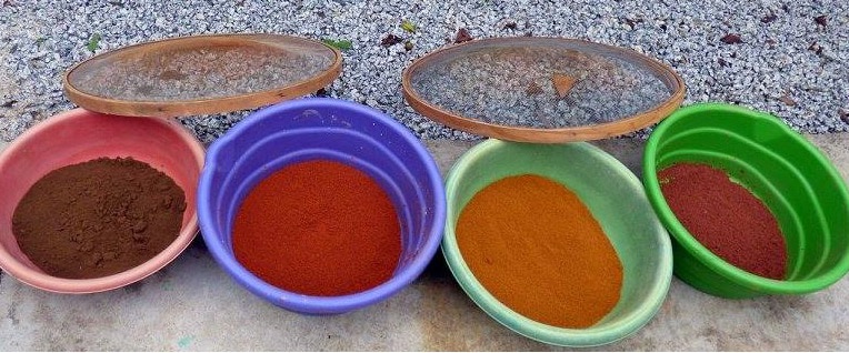 As Melhores Plantas para Criar suas Próprias Tintas Naturais