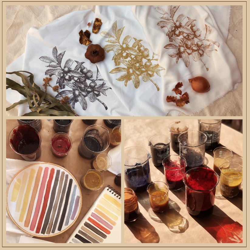 tintas naturais de plantas