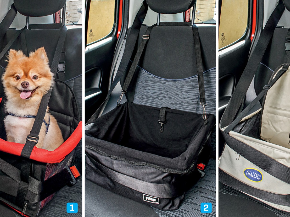 Guia Completo: Como Escolher o Cinto de Segurança Ideal para Seu Pet