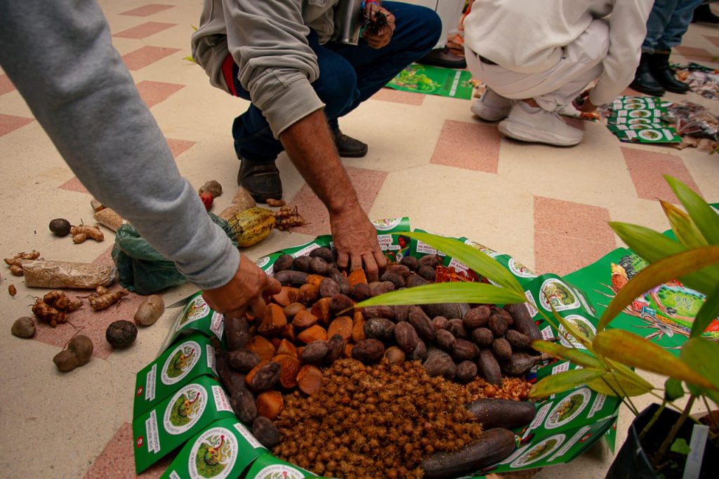 Como Iniciar sua Própria Biblioteca de Sementes na Comunidade
