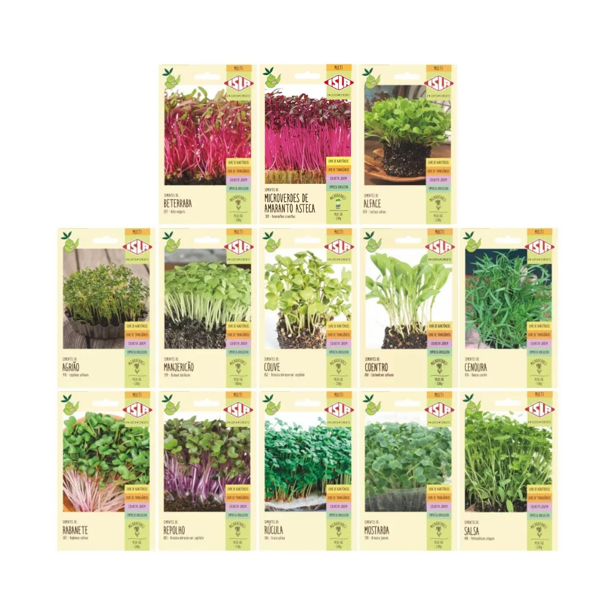 Troca de Sementes Online: Melhores Grupos e Comunidades para Jardinagem