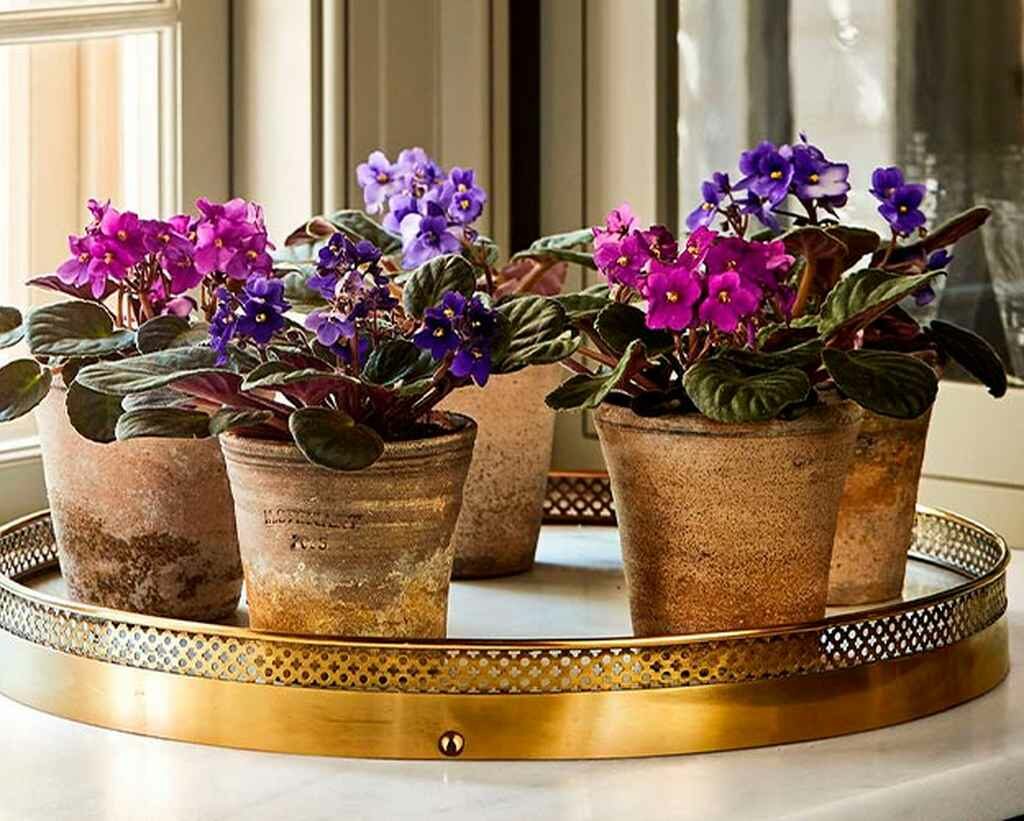 5 ideias de títulos