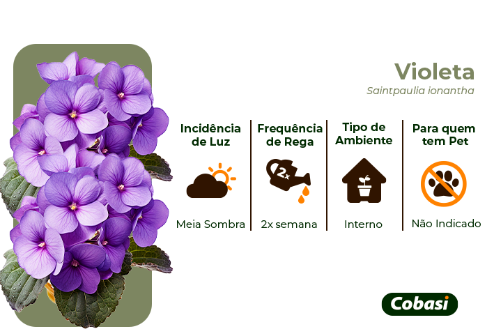 5 ideias de títulos