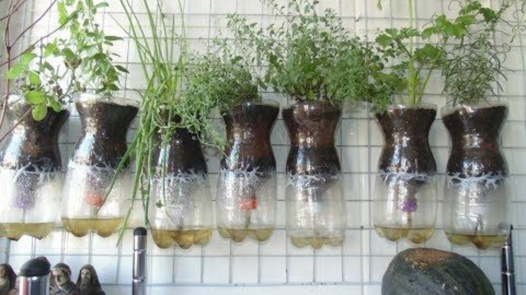 como evitar erros comuns horta autoirrigavel