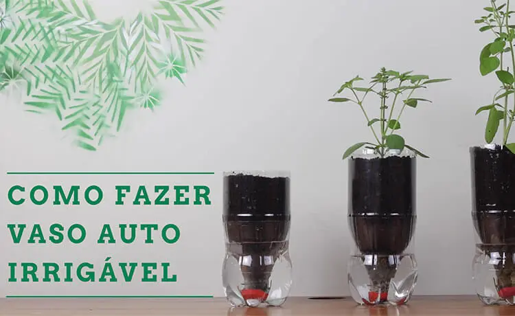 custo para montar horta autoirrigavel em casa