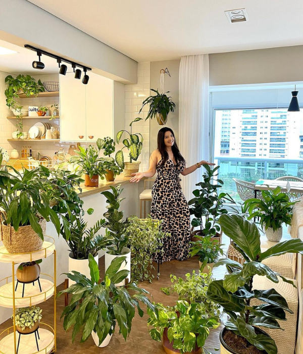 10 ideias criativas para sua horta em vasos autoirrigáveis