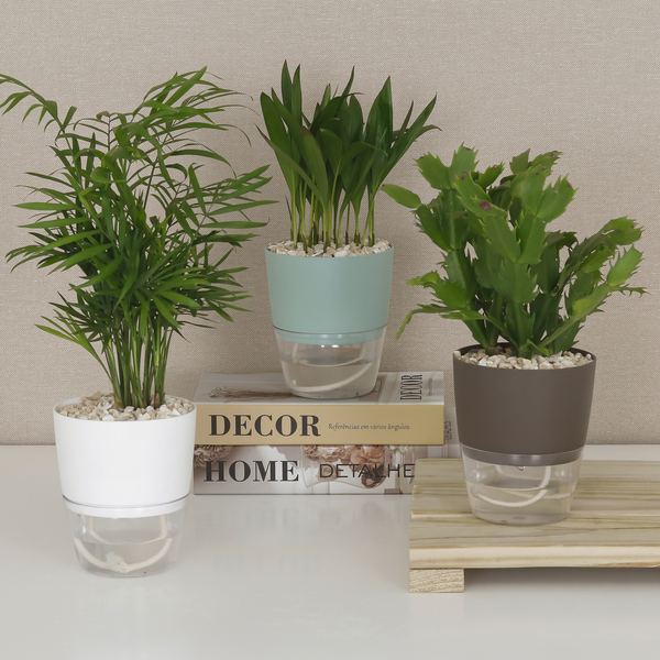 como evitar erros comuns horta autoirrigavel