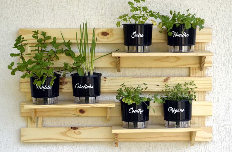 vaso autoirrigavel vs vaso comum qual melhor