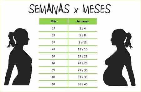 24 semanas de gravidez em meses