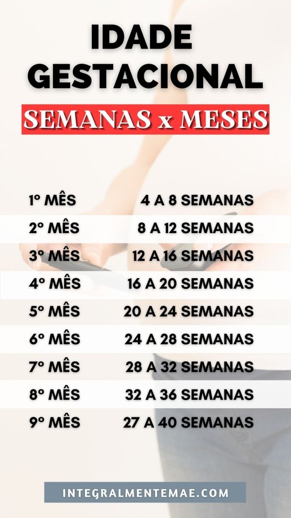 conversão semanas para meses gravidez