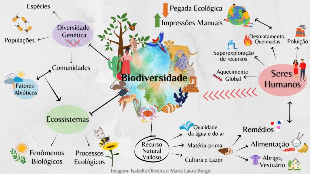3 erros comuns ao entender a biosfera e como evitá-los