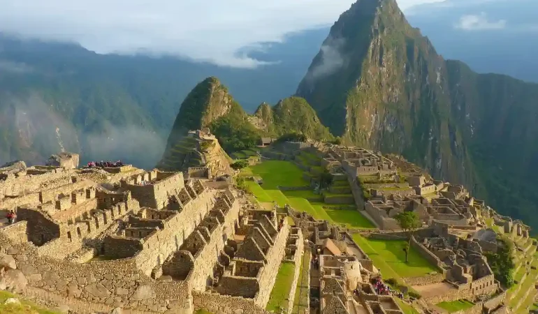 observação de onças pintadas no pantanal dicas