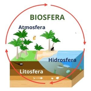 como a poluição afeta as reservas da biosfera