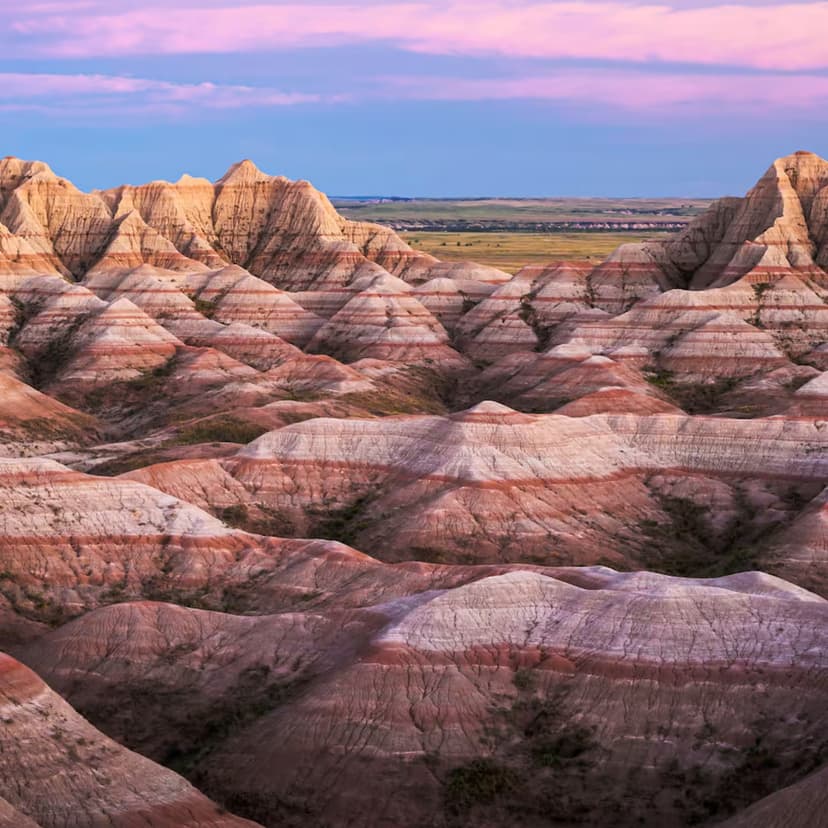 amazônia versus pantanal qual visitar