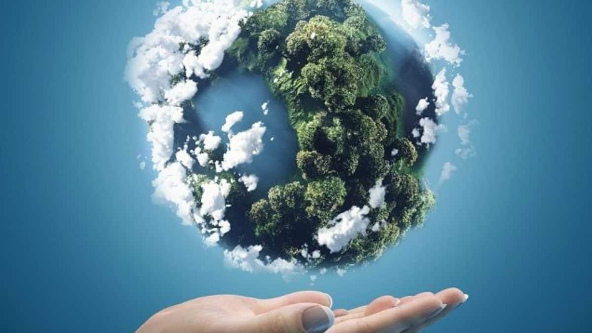 custo de viagem para grande barreira de coral