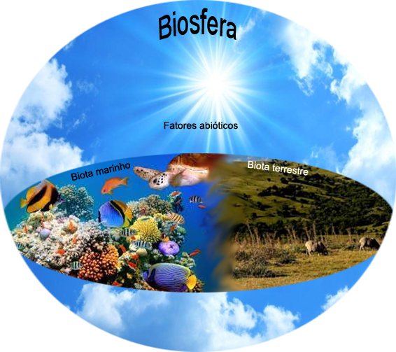 5 maravilhas da biosfera que você precisa conhecer