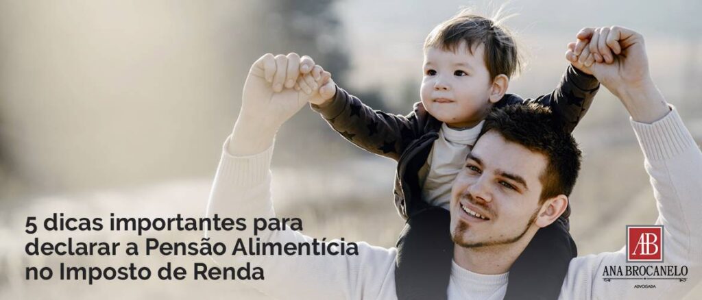 guia completo para declarar pensão alimentícia MEI