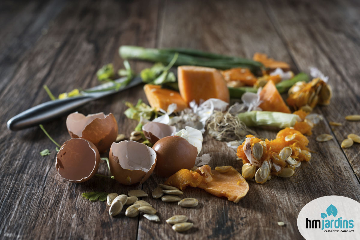 melhores adubos para flores em vasos