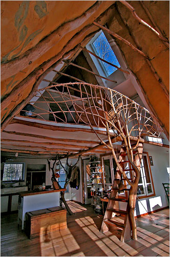 exemplos de arquitetura orgânica no brasil