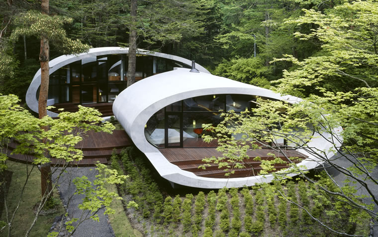 erros comuns ao projetar arquitetura orgânica