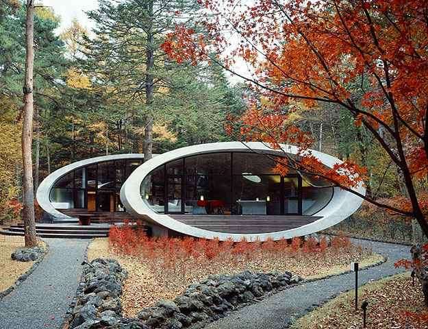 arquitetura orgânica vs arquitetura moderna