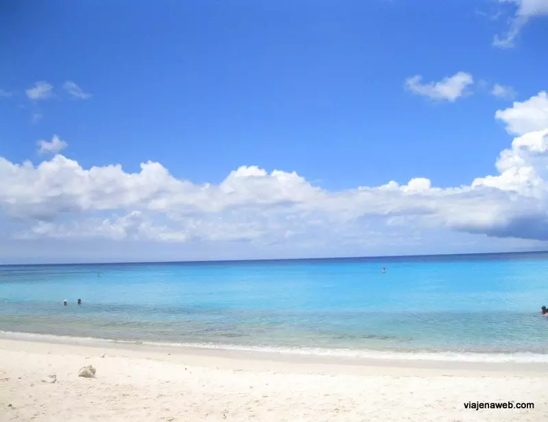 como jogar beach tennis regras básicas
