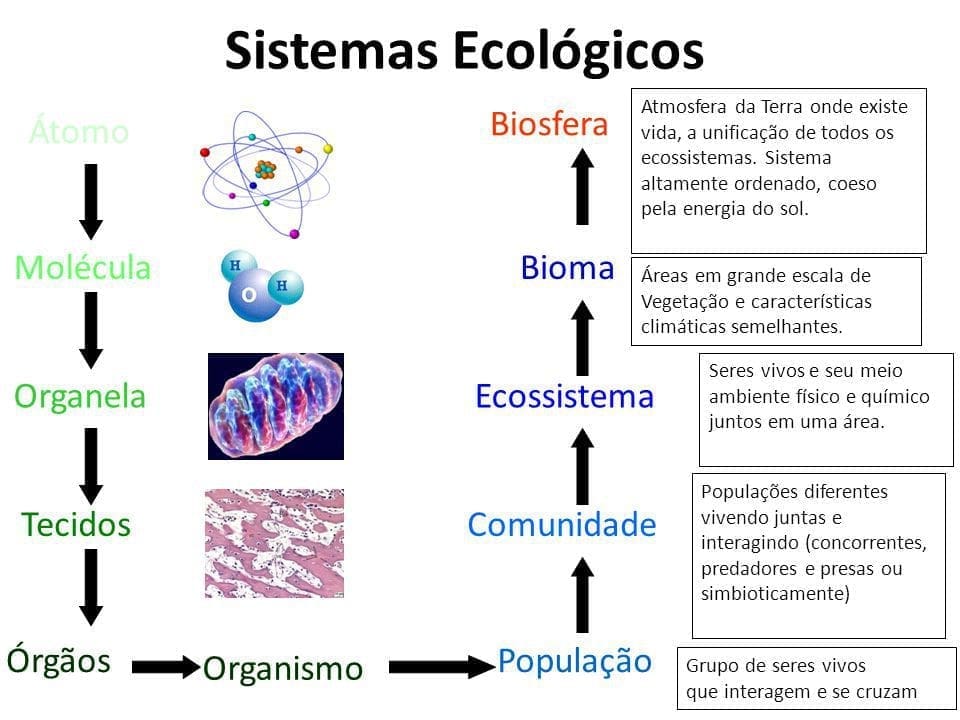 biosfera versus ecossistema qual a diferença fundamental