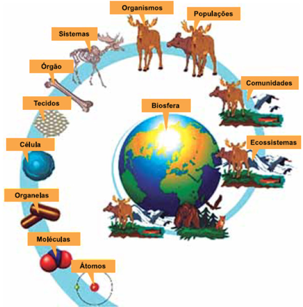 10 fatos fascinantes sobre a biosfera e ecossistemas