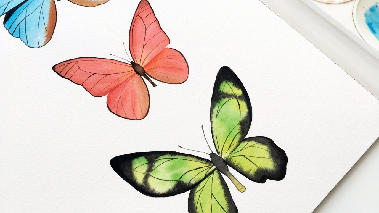 borboleta para colorir