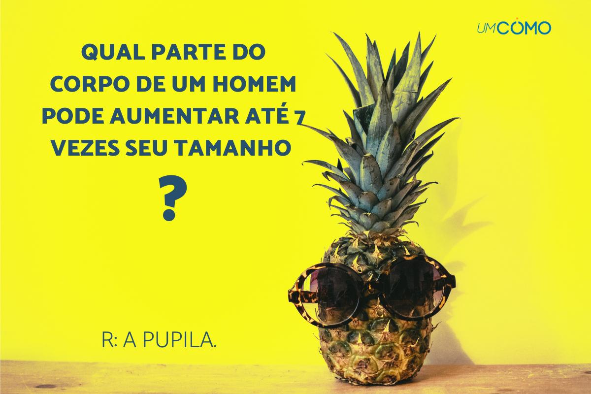 melhores pegadinhas para festa