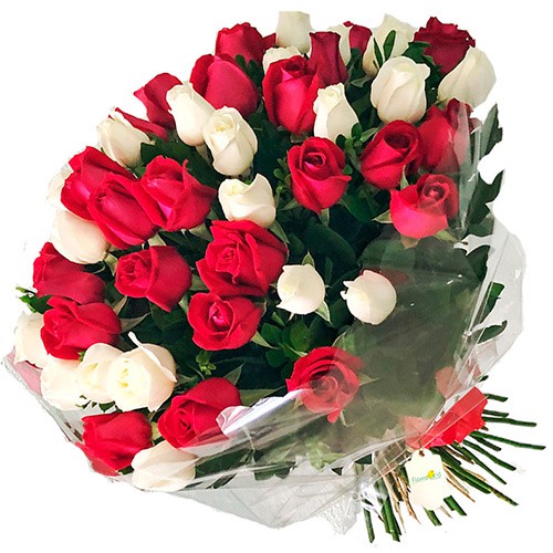 como cuidar de um buquê de rosas vermelhas e brancas