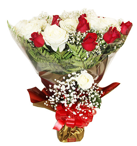buquê de rosas vermelhas e brancas vs buquê de rosas apenas vermelhas